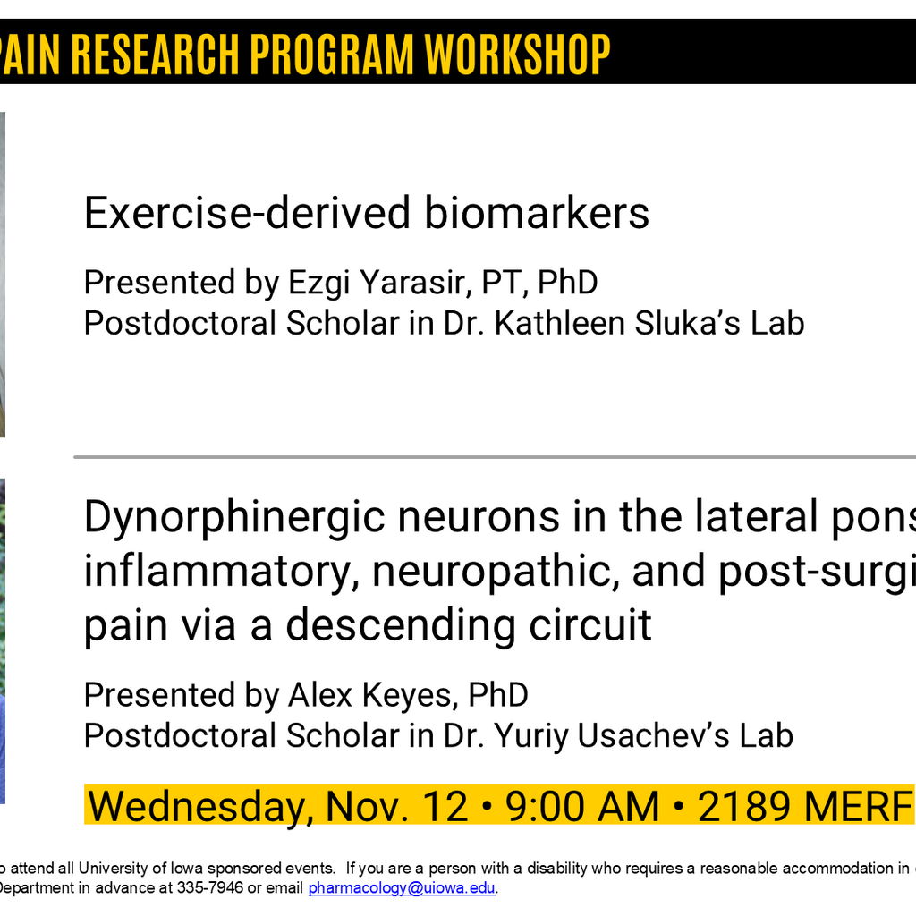Pain Interest Group Workshop - Ezgi Yarasir, PT, PhD and Alex Keyes, PhD promotional image