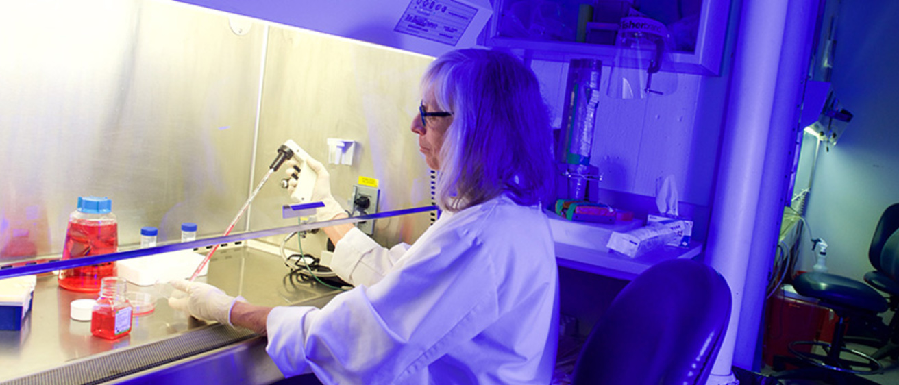 Ortho Research in Lab